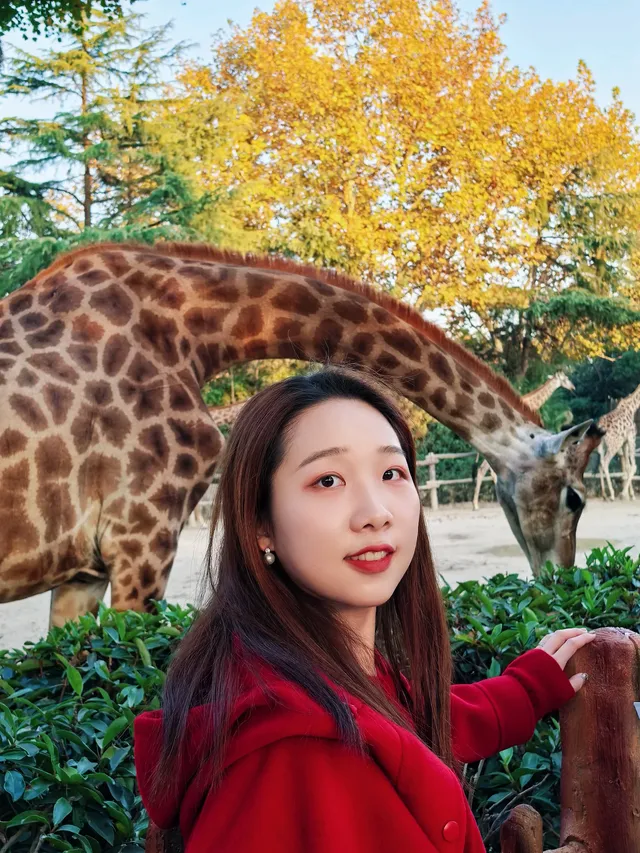 上海野生動物園衝了
