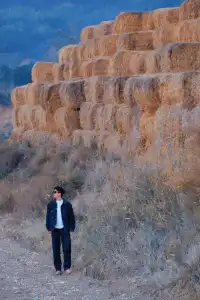 鄭州的初冬,遠山草垛,溫暖成了一幅畫!