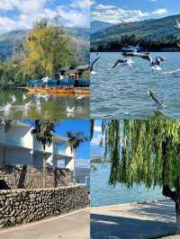 為了這口西昌燒烤，我願意再去100次！