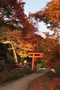 大阪勝尾寺夜間點燈絕美!跟白天完全不同