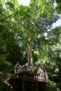 版納三課：學會在場