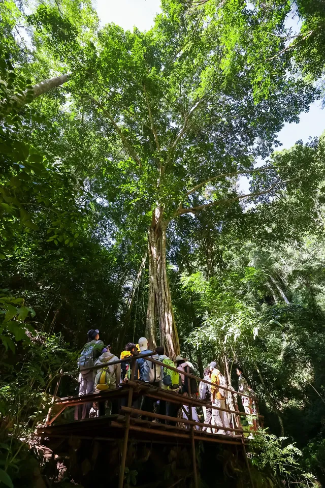 版納三課：學會在場