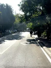 漫遊QingDao|青島八大關