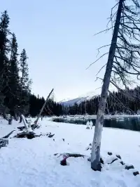 阿勒泰冬季打卡9大封神機位（附3k＋攻略！