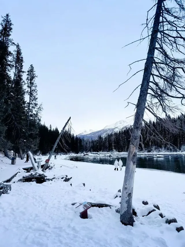 阿勒泰冬季打卡9大封神機位（附3k＋攻略！