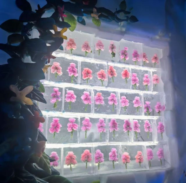 冰雪大世界保姆級攻略來了 冰雪大世界保姆級攻略來了