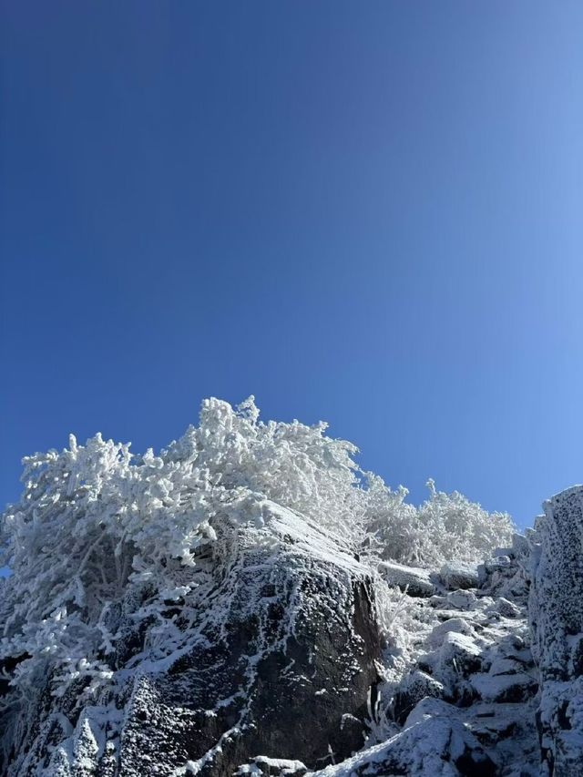 冰雪奇緣龍王山徒步踏, 雪賞霧淞 冰雪奇緣龍王山徒步踏, 雪賞霧淞