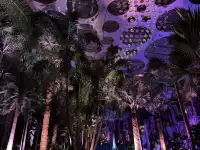 三生三世｜上海溫室花園 人少篇