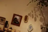 景德鎮走走|陶然自得