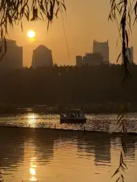 南京玄武湖 |接受落葉和降溫的風