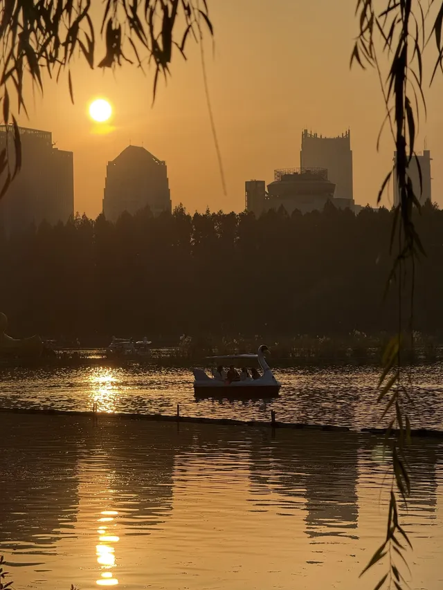 南京玄武湖 |接受落葉和降溫的風 南京玄武湖 |接受落葉和降溫的風