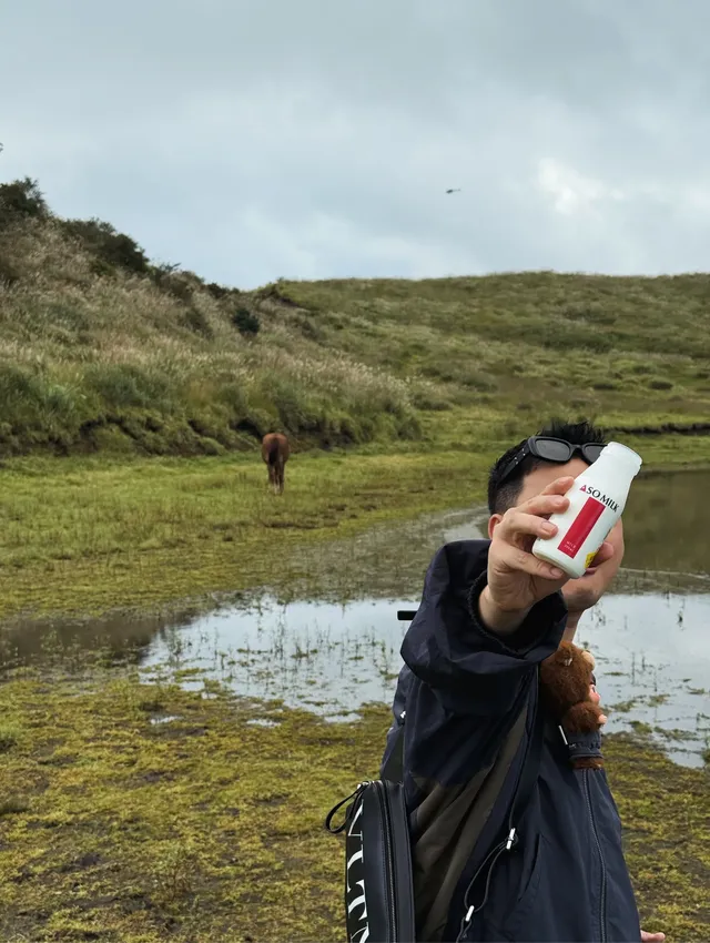 火山口在轟隆,腳下卻是抹茶草原|阿蘇火山 火山口在轟隆,腳下卻是抹茶草原|阿蘇火山