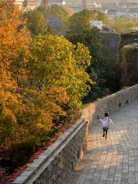 虞山秋日限定常熟紅葉美翻了丨附機位