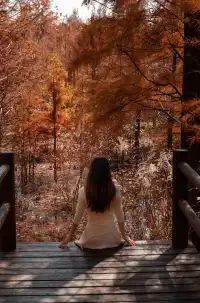 長興桃花岬的紅杉很美啊～～