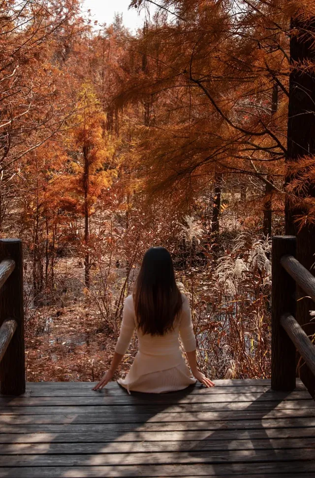 長興桃花岬的紅杉很美啊～～
