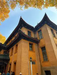 賞秋最美南京|鐘山風景區一天遊