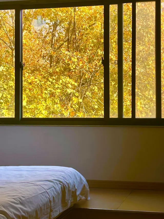 南京12月絕美秋色|玄武日落與鐘山秘境 南京12月絕美秋色|玄武日落與鐘山秘境