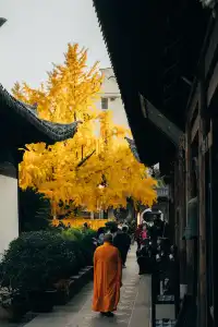 上海寺廟秋天攝影大賽,來交參賽作品了