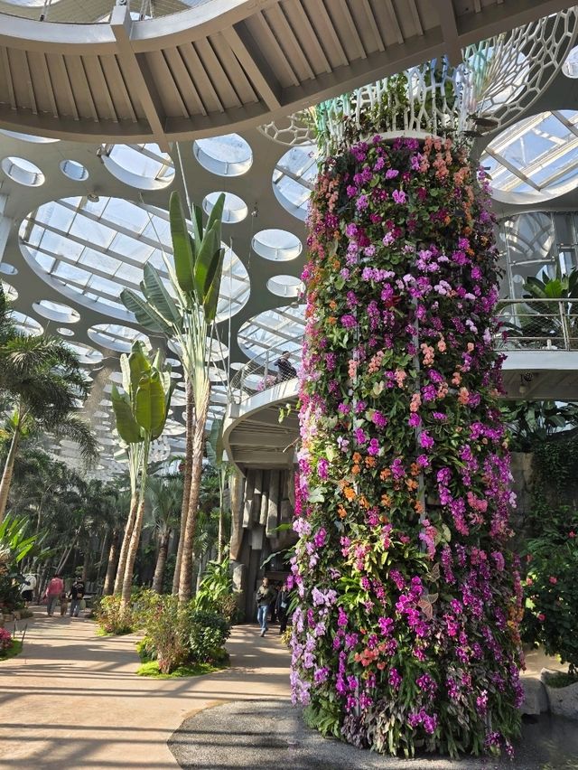 Shanghai Greenhouse Garden – всё, что нужно знать Shanghai Greenhouse Garden – всё, что нужно знать
