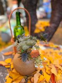 黃金城道步行街觀賞金色趕緊走起