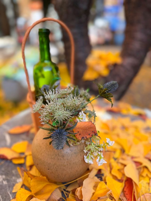 黃金城道步行街觀賞金色趕緊走起