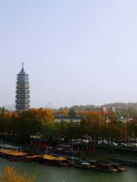 說走就走的金陵之旅2.5天年假邂逅南京的秋