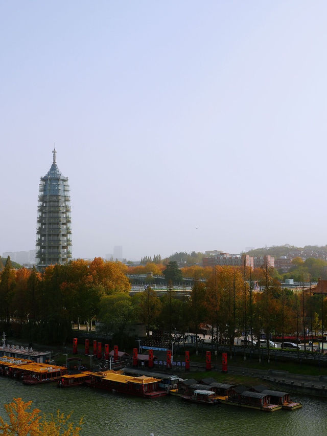 說走就走的金陵之旅2.5天年假邂逅南京的秋 說走就走的金陵之旅2.5天年假邂逅南京的秋