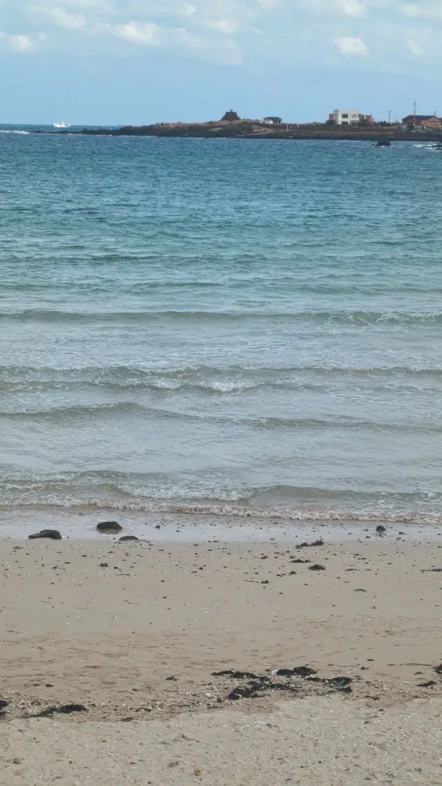 Jeju Island Travel Guide|A Spontaneous Island Healing Diary