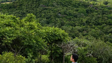 Sri Lanka | The rainy season is ending, and the most beautiful season is coming — traveler post in Ella