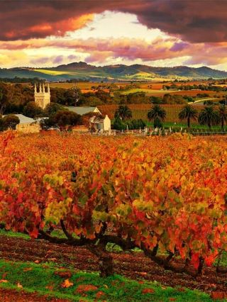 12-Day Tour of Australia’s Three Cities and Scenic Spots