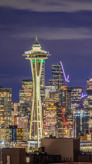 시애틀 3일 여행｜벚꽃+스페이스 니들, 힐링 도시 여행