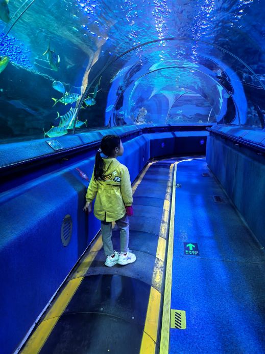 2026 Blue Zoo Beijing Достопримечательность: идеи и рекомендации