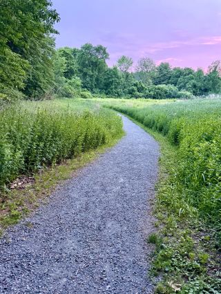 Boston Surroundings｜Summer Exclusive Firefly Safari