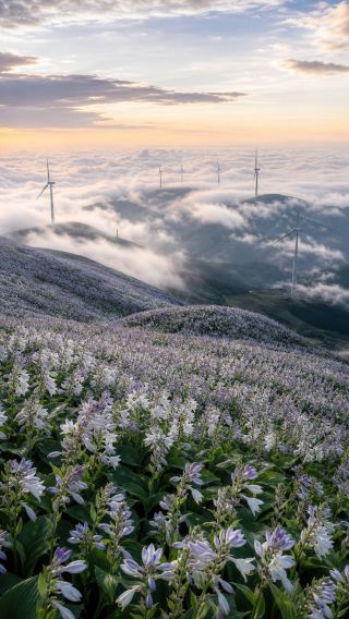 成都出發2.5h闖入避暑之王，畢節的山野把夏天過成了詩
