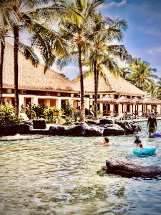 [Soccer Night] Big Island · Punalu‘u Black Sand Beach Coconut Grove: Screening Beside Saltwater Crocodiles 'Black Sand and Extra Time'.