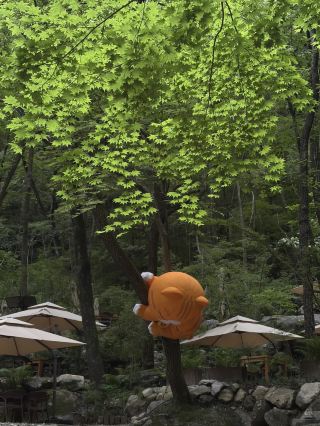 西安からわずか1時間半！気温20度のこの夏の楽園は、まさに最高です！