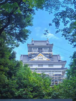 Hidden Gems in Japan | A Day Trip to Gifu: Sengoku Sengoku Sentiments