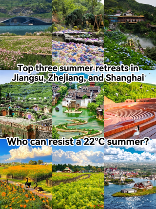 江浙瀘避暑三巨頭 22℃誰頂得住啊