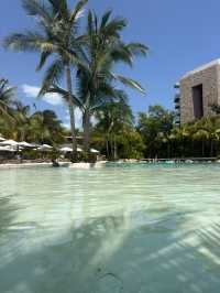 Fantastic Honeymoon at Secrets Moxche