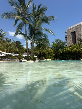 Fantastic Honeymoon at Secrets Moxche