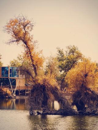 Alxa Youqi's Manitu Temple: Gobi Spring Courtyard