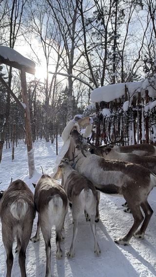 🇲🇾🇨🇳 Yabuli Snow Town 2026 (Part 2)