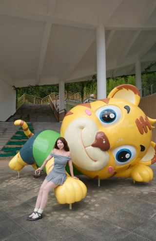 I finally found a niche travel spot in Fujian. South China Tigers, here I come!