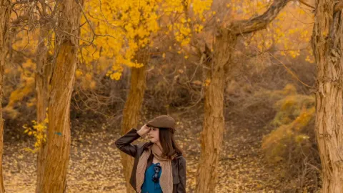 Jinta Desert Poplar Forest Travel Guide — traveler post in Jinta