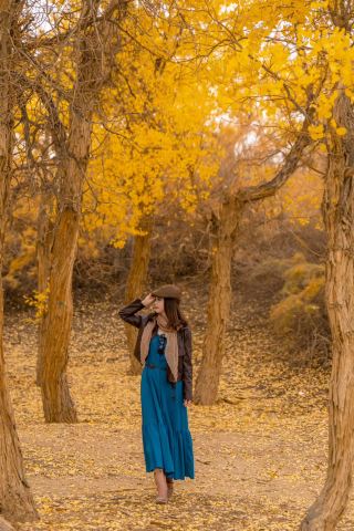 Panduan Wisata Hutan Poplar Gurun Jinta
