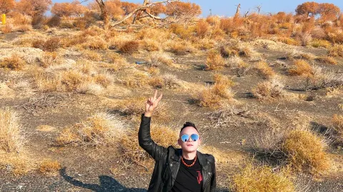 Karamay's niche, free route: Gobi Desert, lakes, and poplar forests are incredible — traveler post in Karamay