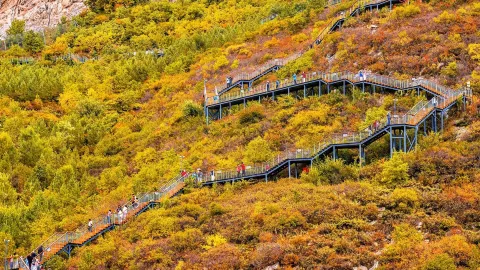 3-hour road trip from Beijing | 2-day, 1-night Chongli autumn getaway guide: The first wave of picturesque autumn colors is here — traveler post in Zhangbei