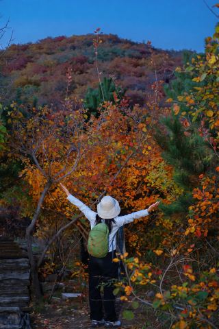Shot on Oct 18 🍁 A date with autumn in the Beijing suburbs