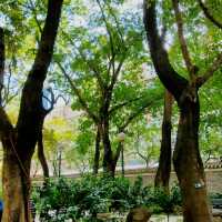 Tak Wah Park in Tsuen Wan