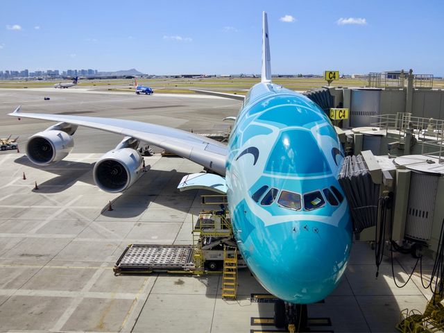 日本內陸機票, 全日空